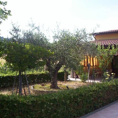 Agriturismo 7 Colonne Vila Bertinoro Exterior foto