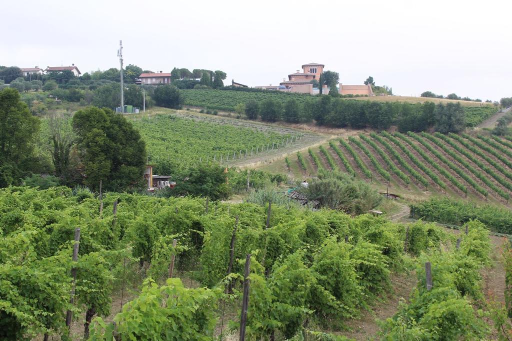 Agriturismo 7 Colonne Vila Bertinoro Exterior foto